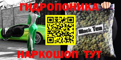 крисы Гусиноозёрск