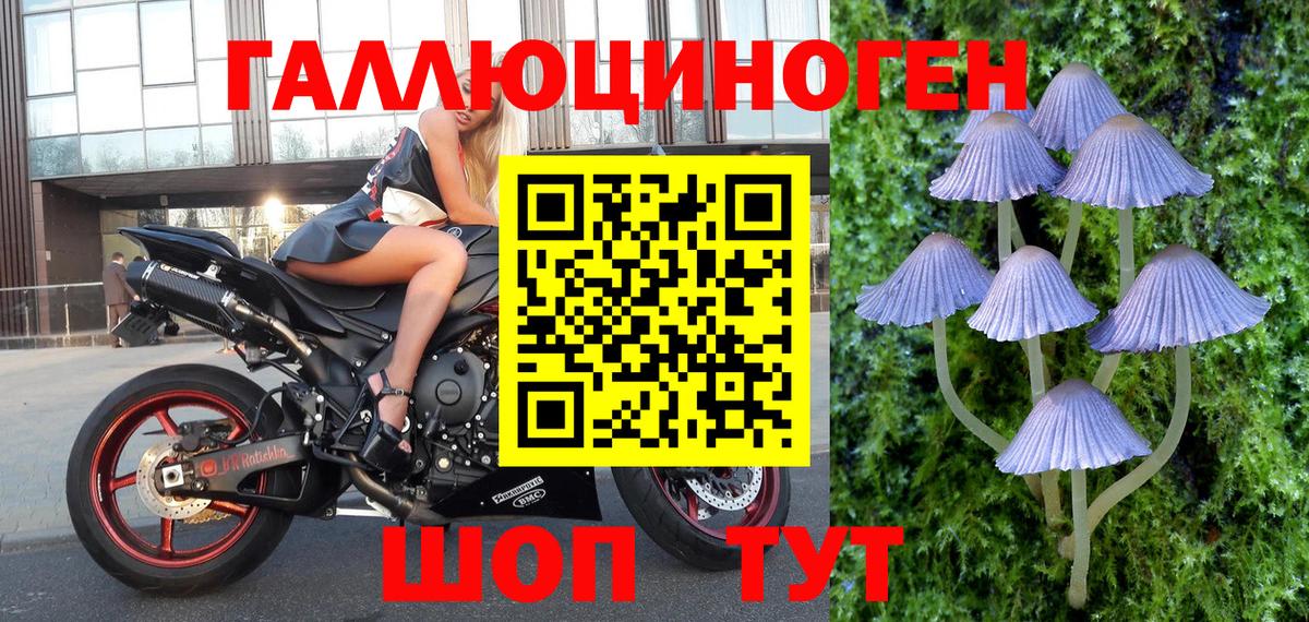 Набережные Челны  Псилоцибиновые грибы прущие грибы  Вход с VPN 
